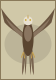 Grand Aigle